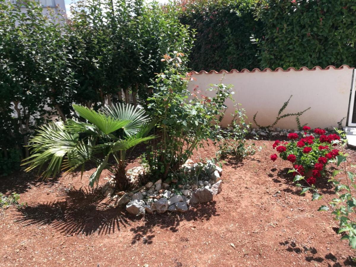Ferienhaus Bozena Appartment 6 Vrsar Dış mekan fotoğraf